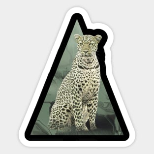 Leopard on Safari in Kenya / Africa Sticker